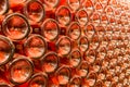 A row of champagne bottles - Wine cellar Royalty Free Stock Photo