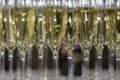 Row of champagne glasses. Traditional sparkling drink for holidays and celebrations. Blurred