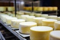 Photo of a variety of cheeses on a conveyor belt in a factory. Industrial cheese production plant. Modern technologies. Production Royalty Free Stock Photo