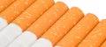 Row of cigarettes on white background Royalty Free Stock Photo