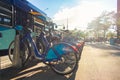 A Row of Citi Bikes in Lower Manhattan Shining in the Sun