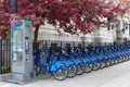 Row of Citi Bikes during Spring under a Pink Flowering Tree in Astoria Queens New York