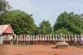Row of clay horses at Kothamangalam horse shrine.