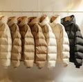 Row of Coats Hanging on a Rack