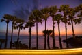 Row of coconut palm trees with beautiful dramatic sky sunset or sunrise over the tropical sea scenery of beautiful nature Royalty Free Stock Photo