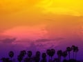 A row of coconut palm trees, silhouette on summer colorful sky. Royalty Free Stock Photo