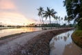 Row of coconut trees reflection in sunset Royalty Free Stock Photo