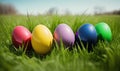 a row of colored eggs sitting in the middle of a grass covered field with a blue sky in the background and a few trees in the Royalty Free Stock Photo