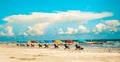 Colorful beach umbrellas and beach loungers on Galveston Island Texas. Royalty Free Stock Photo