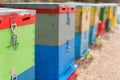 Row of Colorful Bee Hives With Trees in the Background. Bee Hives Next to a Pine Forest in Summer. Honey Beehives in the Me