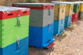 Row of Colorful Bee Hives With Trees in the Background. Bee Hives Next to a Pine Forest in Summer. Honey Beehives in the Meadow.