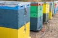 Row of Colorful Bee Hives With Trees in the Background. Bee Hives Next to a Pine Forest in Summer. Honey Beehives in the Meadow.