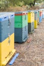 Row of Colorful Bee Hives With Trees in the Background. Bee Hives Next to a Pine Forest in Summer. Honey Beehives in the Medow.