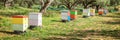 Row of colorful beehives in a field in Greece