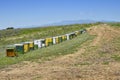 Row of colorful beehives on hill