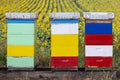 A row of colorful beehives