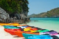 A row of colorful kayak is waiting on the beach ready o the sea