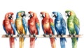 Row of colorful macaw parrots