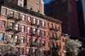 Colorful Old Brick Apartment Buildings with Fire Escapes and a Flowering Tree during the Spring in Hell`s Kitchen of New York City Royalty Free Stock Photo