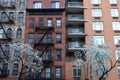 Colorful Old Apartment Buildings with Fire Escapes and a Flowering Tree during the Spring in Hell`s Kitchen of New York City Royalty Free Stock Photo