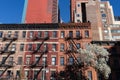 Colorful Old Apartment Buildings with Fire Escapes and a Flowering Tree during the Spring in Hell`s Kitchen of New York City Royalty Free Stock Photo