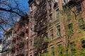 Row of Colorful Old Brick Residential Buildings with a Tree with Fresh Green Leaves during Spring in Nolita of New York City