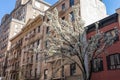Row of Colorful Old Residential Buildings with a White Flowering Tree during Spring in Chelsea of New York City Royalty Free Stock Photo