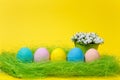 Row colorful pastel monophonic painted Easter eggs white flowers lilies of valley in bucket in green grass on yellow Royalty Free Stock Photo
