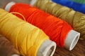 Row of colorful spools with yellow, brown, green, red and blue threads