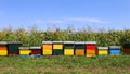 Row of colorful wooden beehives Royalty Free Stock Photo