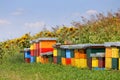 Row of colorful wooden beehives with sunflowers in the background Royalty Free Stock Photo