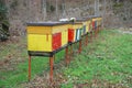 Row of Colourful Beehives