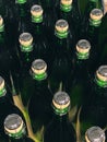 Row of corked bottles Royalty Free Stock Photo