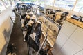 Row of cows being milked Royalty Free Stock Photo