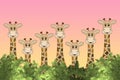 A row of cute cartoon giraffes behind a hedge