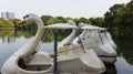 Row of cycle boats on water at the public lumpini park Royalty Free Stock Photo