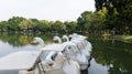 Row of cycle boats on water at the public lumpini park Royalty Free Stock Photo