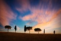 Row of cypress trees at sunset, dramatic sky, typical tuscan landscape Royalty Free Stock Photo