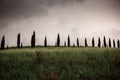 row of cypress trees at sunset - iconic tuscan landscape Royalty Free Stock Photo