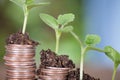 A row of declining dollar coins and buds from them Royalty Free Stock Photo