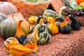 Row of decorative striped pumpkins on a farm counter matting, harvest festival, horizontal halloween background