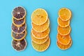 Row of dehydrated citrus fruits as lemons, tangerines, oranges on blue background Royalty Free Stock Photo