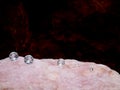 A Row of Diamonds along a soft Pink Crystal