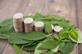 A row of dollar coins on a pile of green leaves Royalty Free Stock Photo
