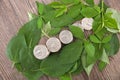 A row of dollar coins on a pile of green leaves Royalty Free Stock Photo