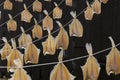 Row of dried fish hanging outside Royalty Free Stock Photo