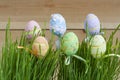 Row of Easter eggs in fresh green grass Royalty Free Stock Photo