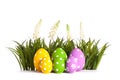 Row of Easter eggs in Fresh Green Grass Royalty Free Stock Photo