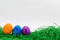 Row of Easter eggs in Fresh Green Grass Royalty Free Stock Photo