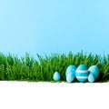 Row of Easter Eggs in grass Royalty Free Stock Photo